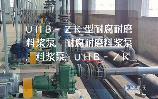 UHB-ZK型耐腐耐磨料浆泵结构应用细节阐释，技术文