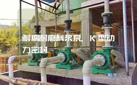 带你多维了解：耐腐耐磨料浆泵的K型动力密封
