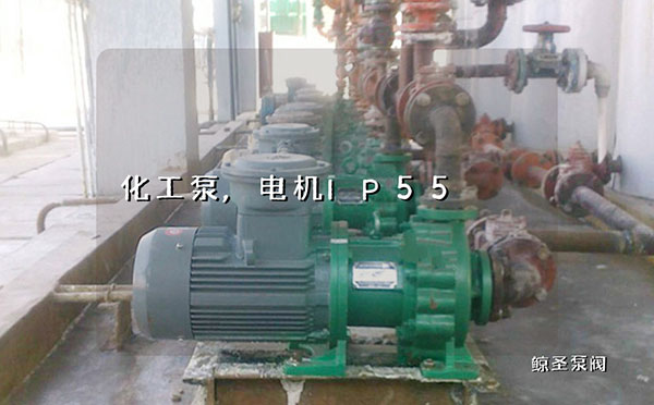 小白：化工泵电机IP55中的IP，5，5代表什么意思？