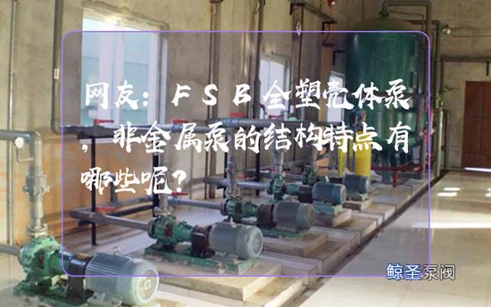 网友：FSB全塑壳体泵,非金属泵的结构特点有哪些呢?