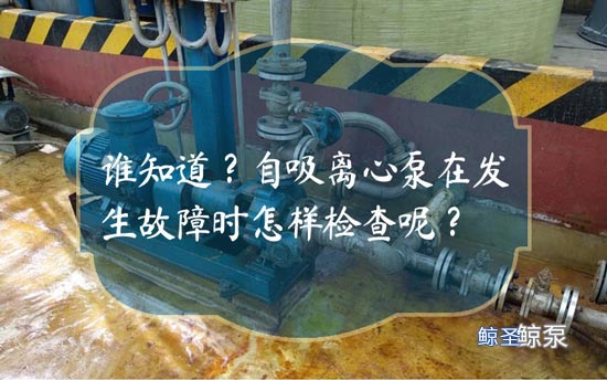 谁知道?自吸离心泵在发生故障时怎样检查呢?